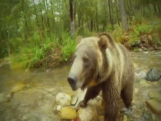 Такой сожрет и даже не почувствует