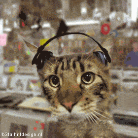 Dj