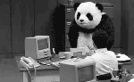 Озверевшая панда