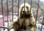 Ну вообще уже засмущали меня