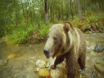 Такой сожрет и даже не почувствует