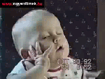 Я Бос и меня кормят