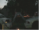Здравствуй, жопа, Новый год!